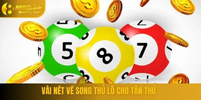 Vài nét về song thủ lô