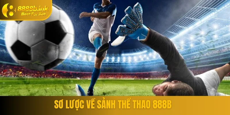 Sân chơi cá cược thể thao tại 888B là gì?