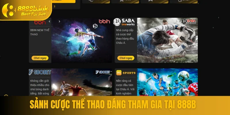 Giải trí hấp dẫn tại các sảnh cược đỉnh cao